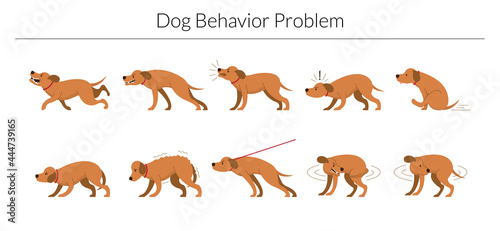 Dog Behavior Problem Set, Aggressive, Fear, Stubborn © muchmania
