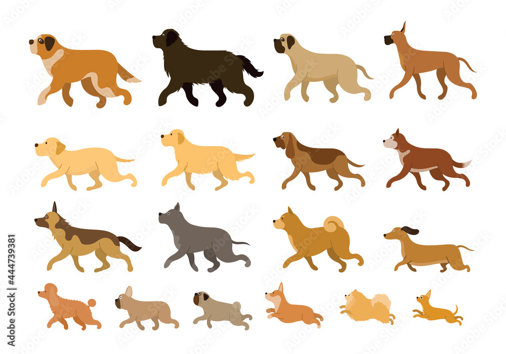 Various Dog Breeds Running Set Various Dog Breeds Running Set