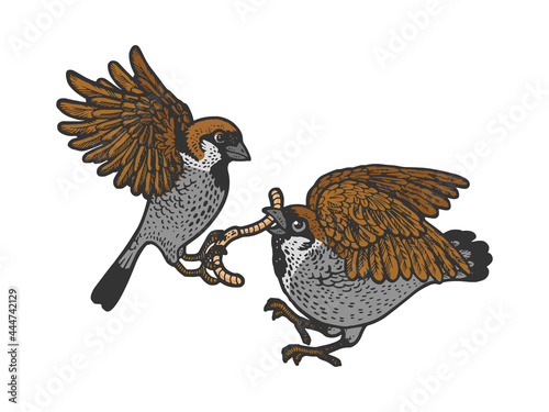 birds fight for the worm color line art sketch engraving vector illustration. T-shirt apparel print design. Scratch board imitation. Black and white hand drawn image.