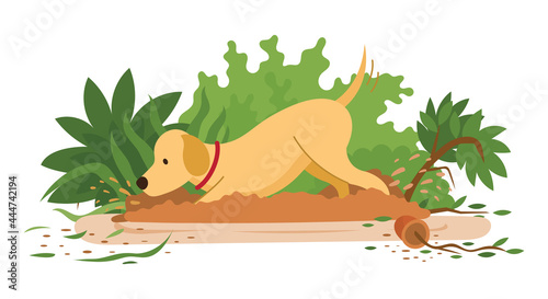 Dog Digging and Destroying Garden or Bury Something in Soil