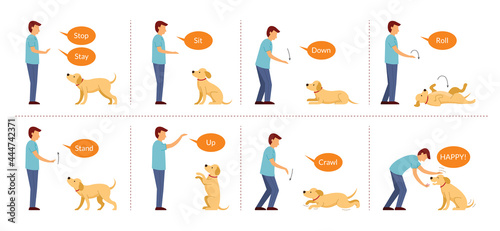 Dog Training with Hand Signals, Basic Dog Command