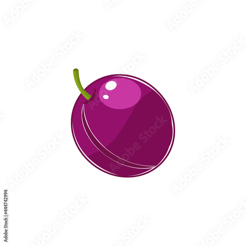 purple plum (Prunus domestica) isolated on a white background