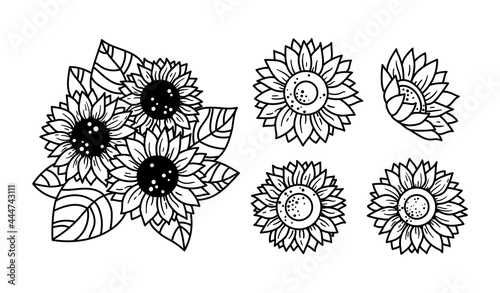 Sunflowers isolated clipart, Black and white floral decorative elements, line wildflower and leaves, botanical design items, bouquete with sunflowers - vector illustration bundle