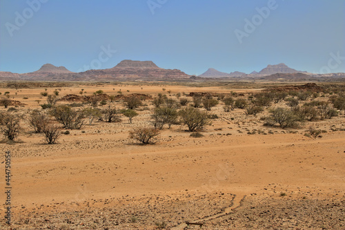 view of african savanna and and mountain range in the distance, damaraland in northern namibia