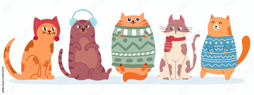 Cute cats in sweater. Happy fat kittens for new year and christmas vector banner. Xmas domestic kitty in scarf - obrazy, fototapety, plakaty 