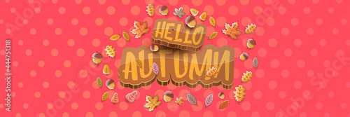 vector hello autumn horizontal banner or label with text and falling autumn leaves on pink horizontal background. Cartoon hello autumn poster, flyer or banner