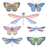 Set of watercolor butterflies and dragonflies. Collection of colorful insects with wings for design, scrapbooking, postcards. Bright butterflies hand-drawn on paper and isolated on a white background
