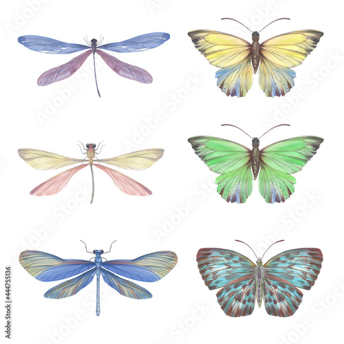 Set of watercolor butterflies and dragonflies. Collection of colorful insects with wings for design  scrapbooking  postcards. Bright butterflies hand-drawn on paper and isolated on a white background