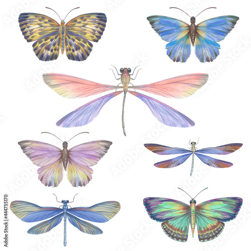 Set of watercolor butterflies and dragonflies. Collection of colorful insects with wings for design  scrapbooking  postcards. Bright butterflies hand-drawn on paper and isolated on a white background