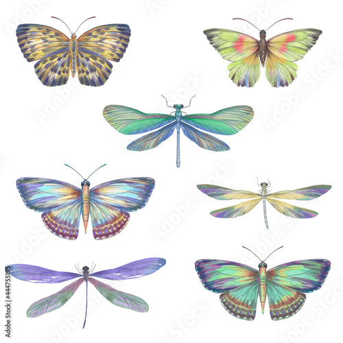 Set of watercolor butterflies and dragonflies. Collection of colorful insects with wings for design  scrapbooking  postcards. Bright butterflies hand-drawn on paper and isolated on a white background