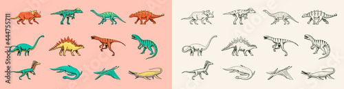 Dinosaurs set, Tyrannosaurus rex, Triceratops, Barosaurus, Diplodocus, Velociraptor Triceratops Stegosaurus. Prehistoric reptiles, Animal. Vintage sketch for t-shirt print. Engraved Hand drawn Animal  photo