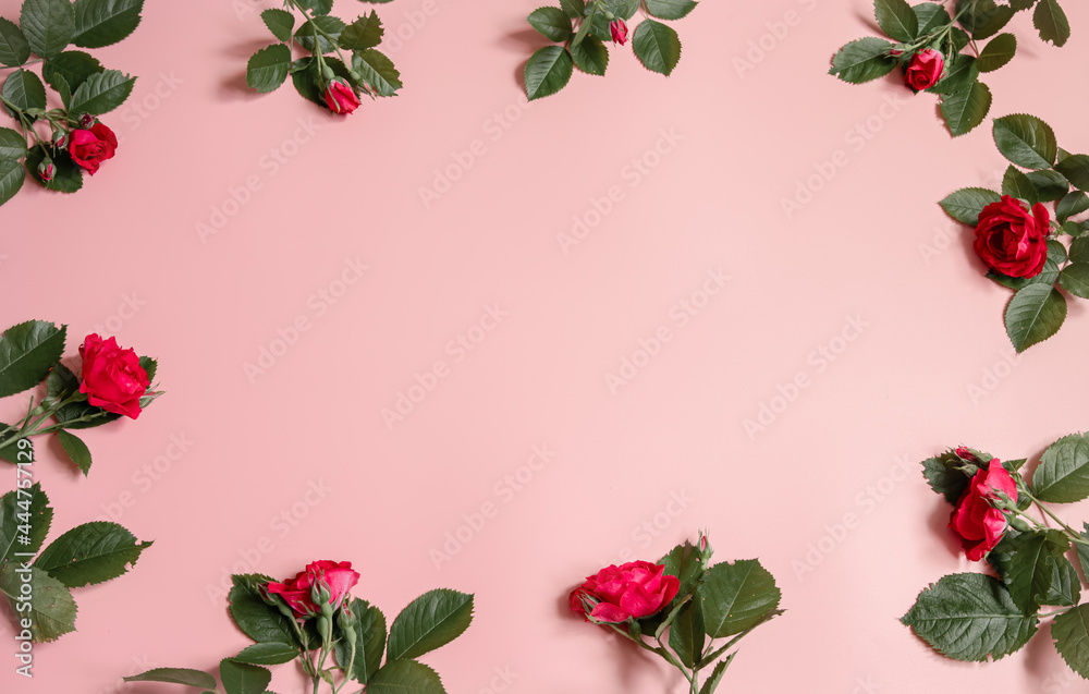 Fototapeta premium Floral frame made of roses on pink background.