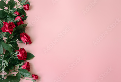 Floral background with natural red roses flat lay.