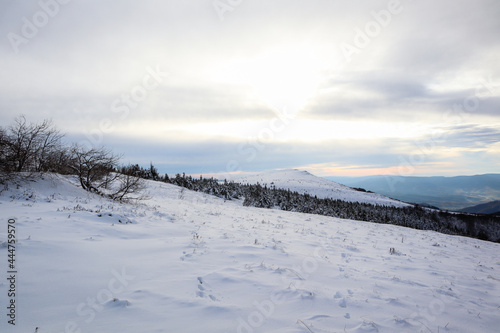 mountains winter. snow in the ukrainian carpathians © Yaroslav