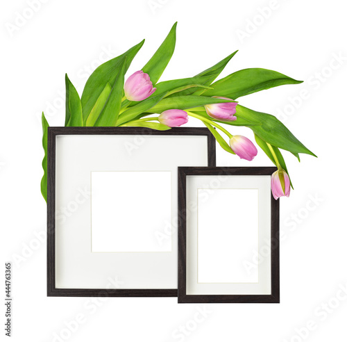 Pink tulip flowers ahd dark...