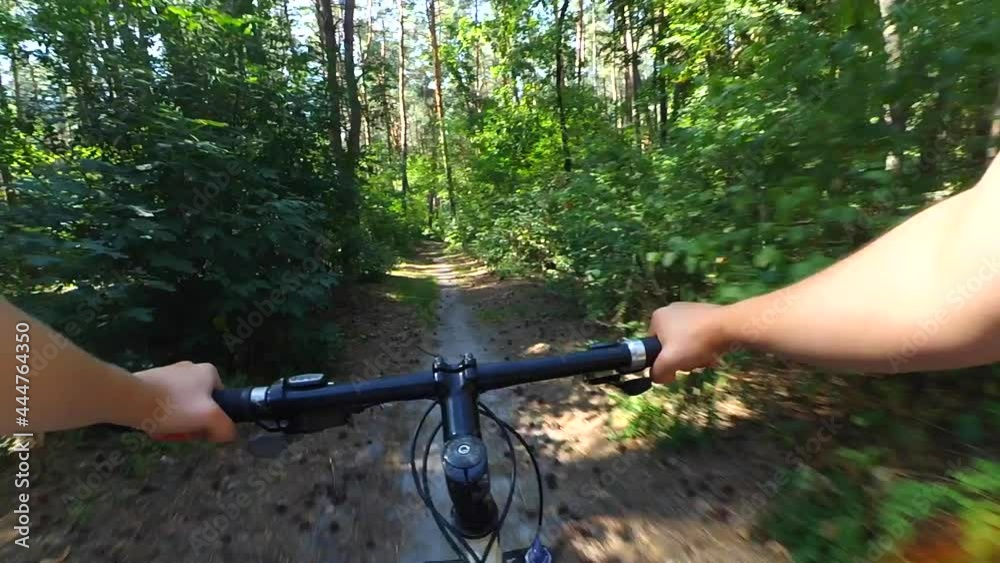 Girl rides a bike along a path in a pine forest in the summer with sunlight Girl rides a bike along a path in a pine forest in the summer with sunlight