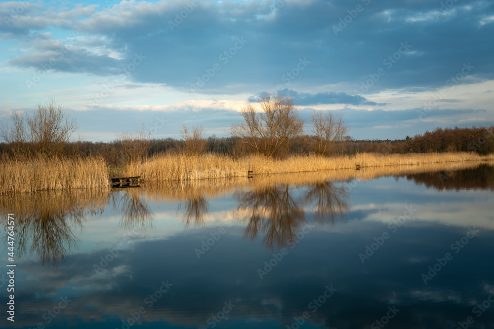 Lake shore with trees and reflections in the water