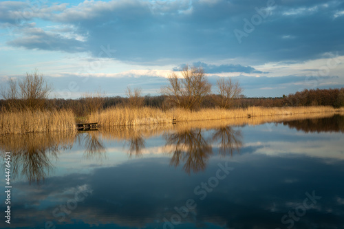 Fototapeta Naklejka Na Ścianę i Meble -  Lake shore with trees and reflections in the water