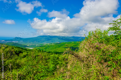 Mountains covered with forest in summer with clouds.