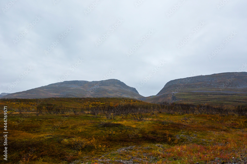 Autumn landscape in tundra, northern Norway. Europe