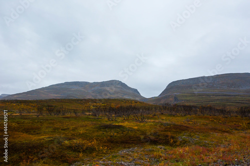 Autumn landscape in tundra  northern Norway. Europe