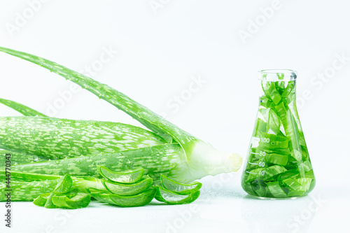 aloe vera and extract bottle on white background,Aloe Vera essential oil extract with Aloevera leaf and aloe gel isolated on white background. Skincare, health, beauty and spa concept. 