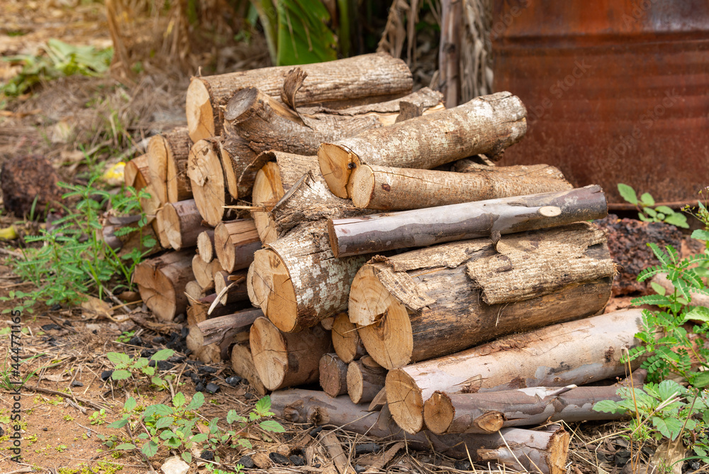 A pile of stacked firewood, prepared for heating the house, Firewood harvested for heating in winter, Chopped firewood on a stack, Firewood stacked and prepared for winter Pile of wood logs. A pile of stacked firewood, prepared for heating the house, Firewood harvested for heating in winter, Chopped firewood on a stack, Firewood stacked and prepared for winter Pile of wood logs.