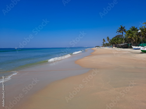 Goa beach. Tropical beach with palm trees and sea, blue water beach with palm trees, balm tree in beach, blue water and blue sky Arabian sea in India, white sand and blue water.