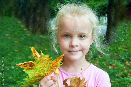 portrait of a tight smile little girl holding a bouquet of autumn leaves in her hands