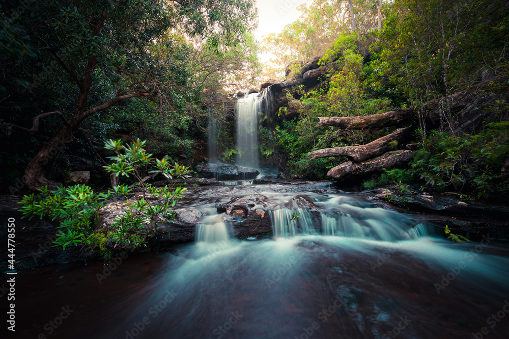 Obraz premium Waterfall in the forest
