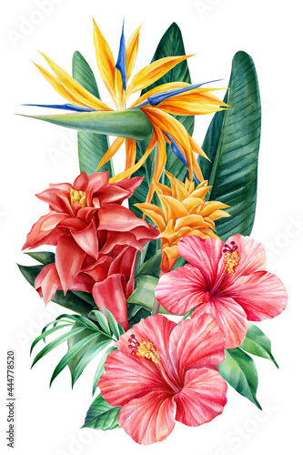 Bouquet tropical flowers on isolated background, watercolor illustration. Strelitzia, guzmania, hibiscus, palm leaves photo