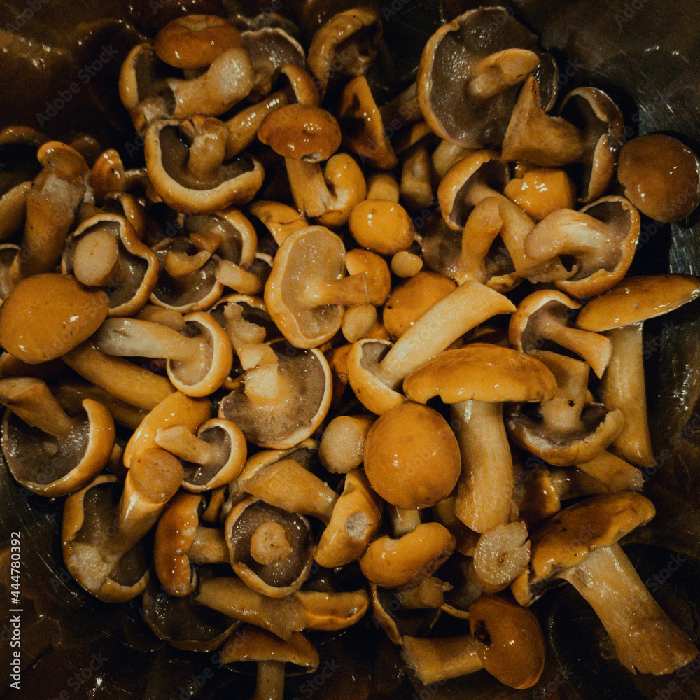 Braising two kinds of mushroom in a pan, crimini and white shimeji. Braising two kinds of mushroom in a pan, crimini and white shimeji.
