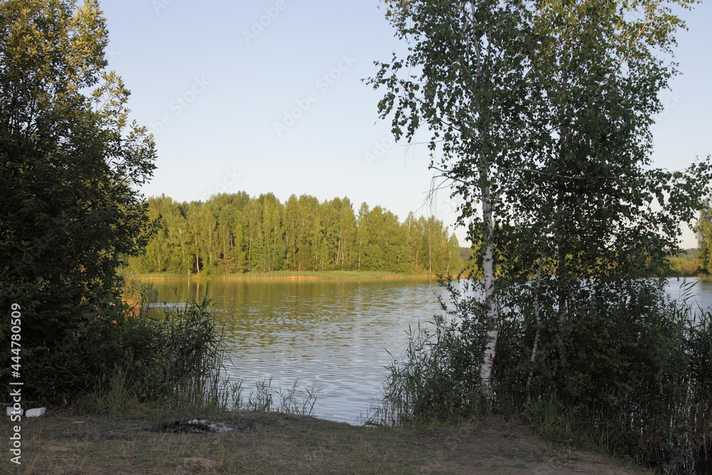 Beautiful view through the birch trees in shadow to the countryside lake with green forest in yellow sunshine on far shore at Sunny summer evening, ecological West Russian natural landscape Beautiful view through the birch trees in shadow to the countryside lake with green forest in yellow sunshine on far shore at Sunny summer evening, ecological West Russian natural landscape