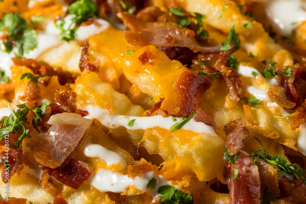 Homemade Bacon Cheddar Ranch Loaded French Fries Homemade Bacon Cheddar Ranch Loaded French Fries