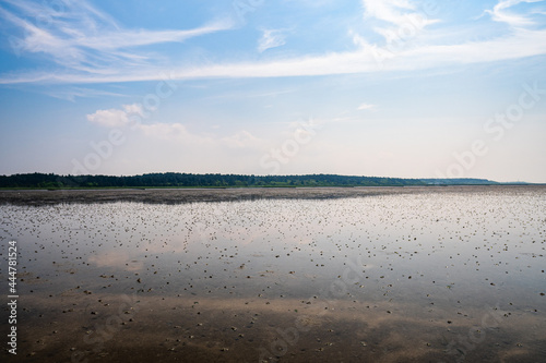 Wadden Sea of the North sea with sun shining and clear blue sky at Sahlenburg  Cuxhaven