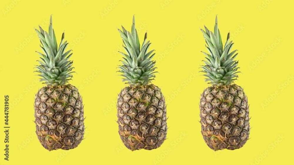 stop motion animation with three ripe fresh pineapples rotating on yellow background. concept of travel with copy space stop motion animation with three ripe fresh pineapples rotating on yellow background. concept of travel with copy space