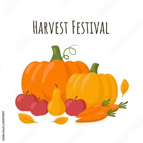 Fresh garden produce and harvested fruits and vegetables. Harvest festival. Vector illustration