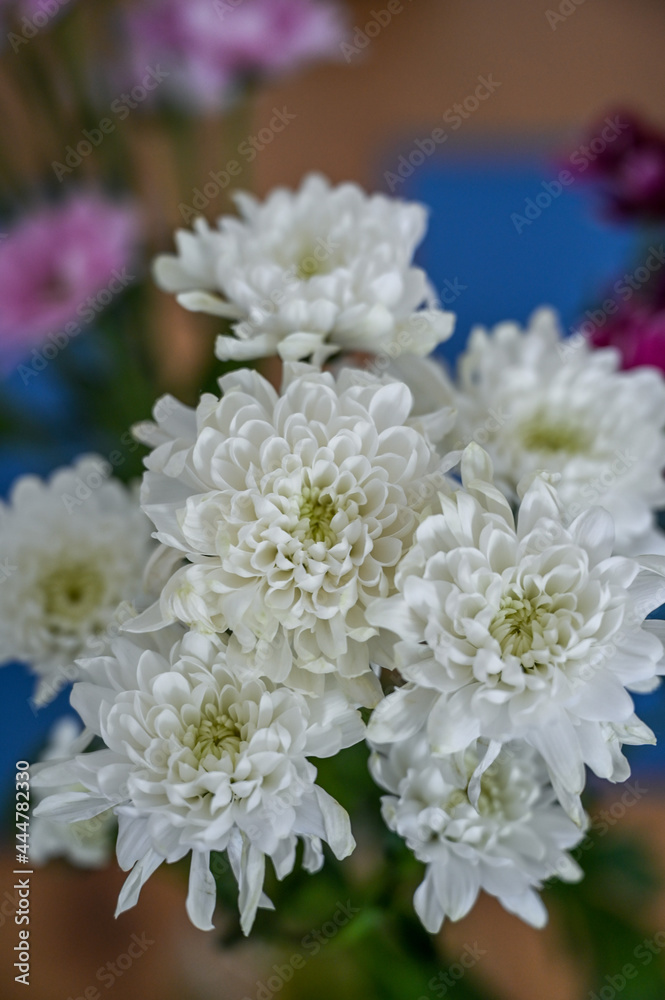 bouquet of white flowers