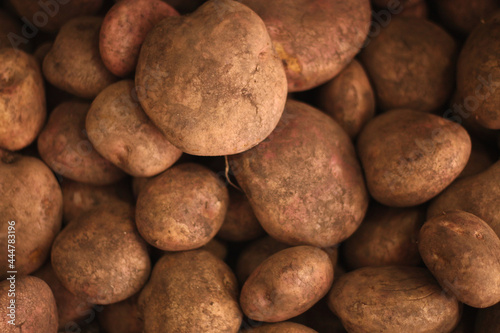 Potato a food rich in starch and with submerged
in Latin American countries, there are yellow ones
and brown or mud color