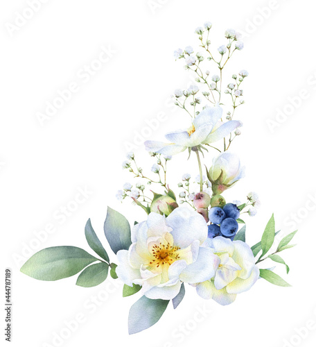 Floral arrangement of the wild white roses  buds  blueberries  herbs and green leaves hand painted in watercolor isolated on a white background. Watercolor floral illustration. Bouquet