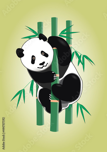 Panda on bamboo