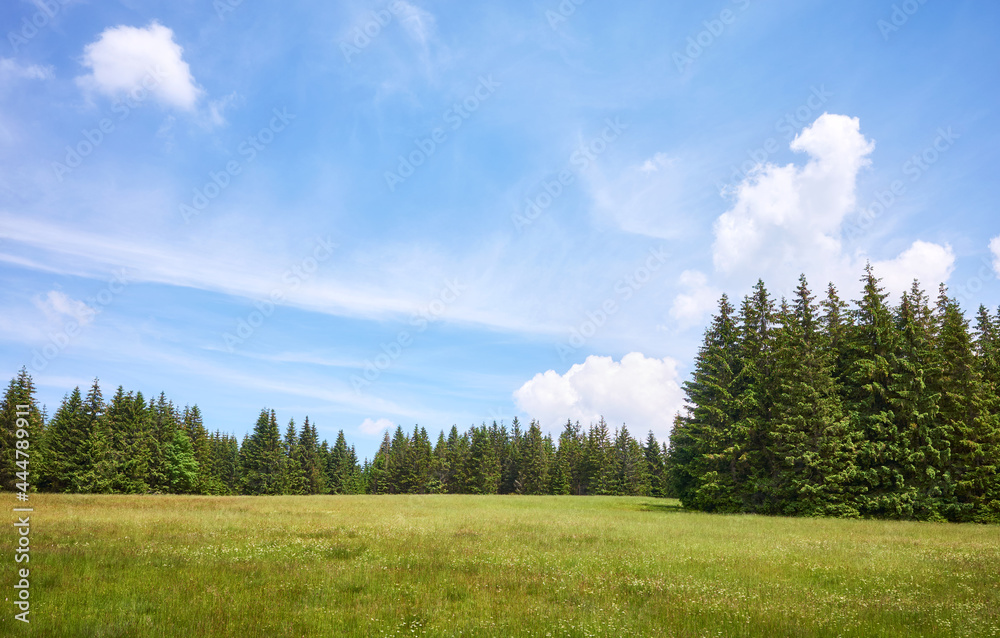 Izera Mountains landscape on a sunny summer day, Poland. Izera Mountains landscape on a sunny summer day, Poland.