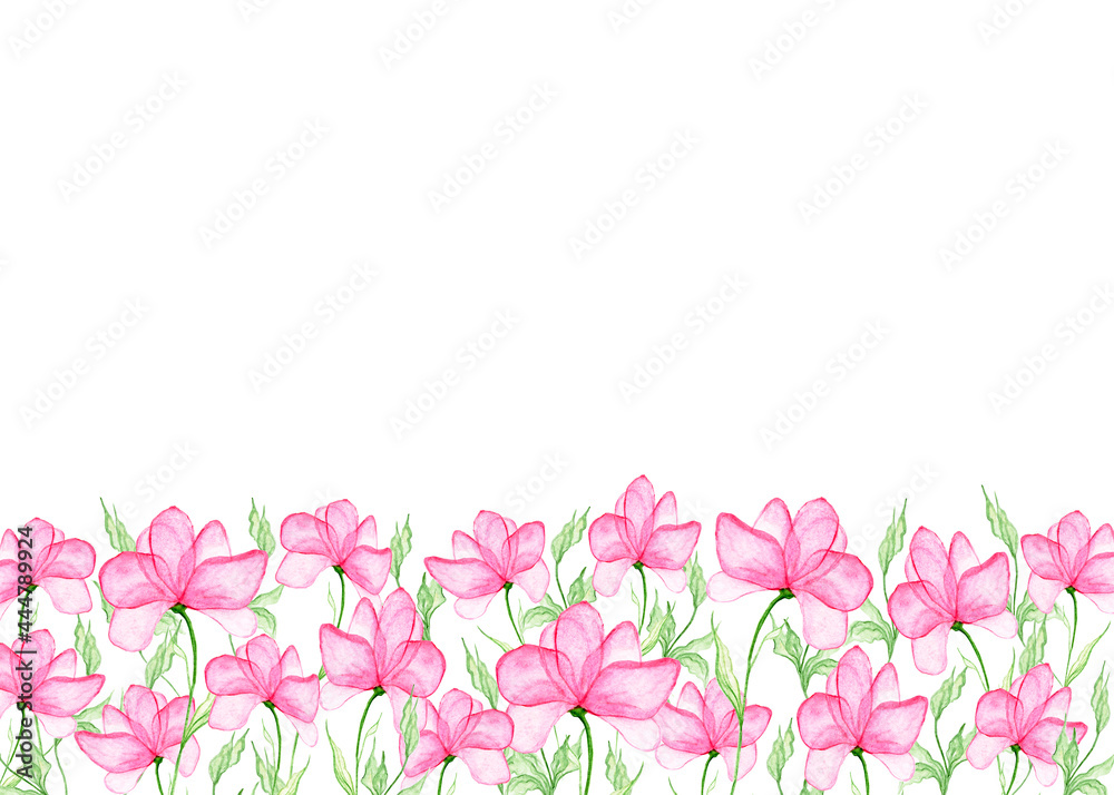 Pink delicate flowers on a white background. Horizontal banner with place for an inscription. Watercolor illustration. Botanical floral background. For the design of cards, wedding invitations.