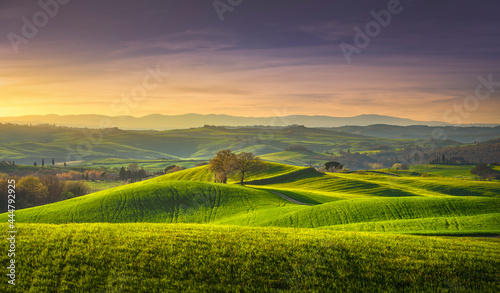Springtime in Tuscany, rolling hills and trees. Pienza, Italy
