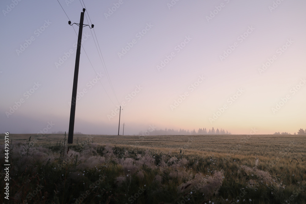 atmospheric misty meadow field and summer landscape at sunrise atmospheric misty meadow field and summer landscape at sunrise