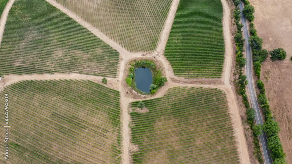 campo di vigneti toscani