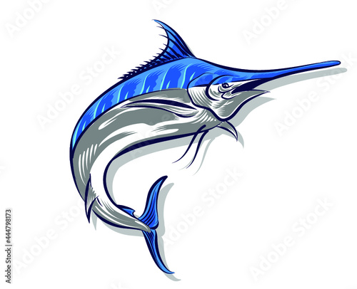 Illustration of Swordfish for logo and branding element 