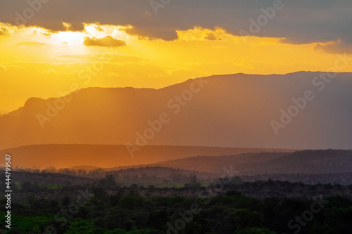 Sunset in African savannah. Kenya