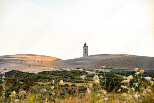 Summer in the sand dunes and at the North Sea in Denmark. Sea, Nordic light, grass, straw and sandunes. photo