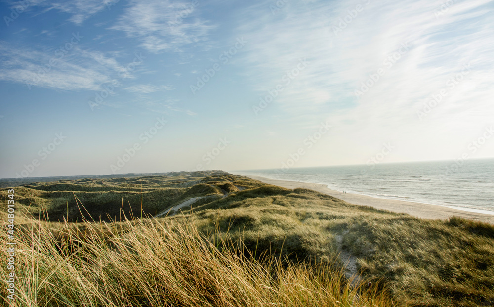 Summer in the sand dunes and at the North Sea in Denmark. Sea, Nordic light, grass, straw and sandunes.